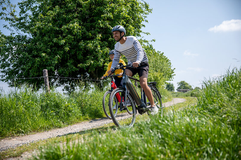 elcykel im sommer