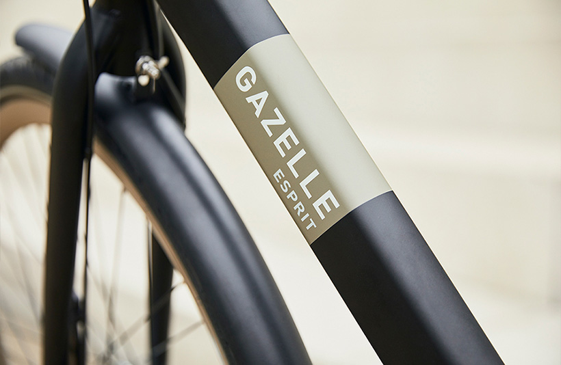 Gazelle Esprit Fahrradrahmen Schwarz