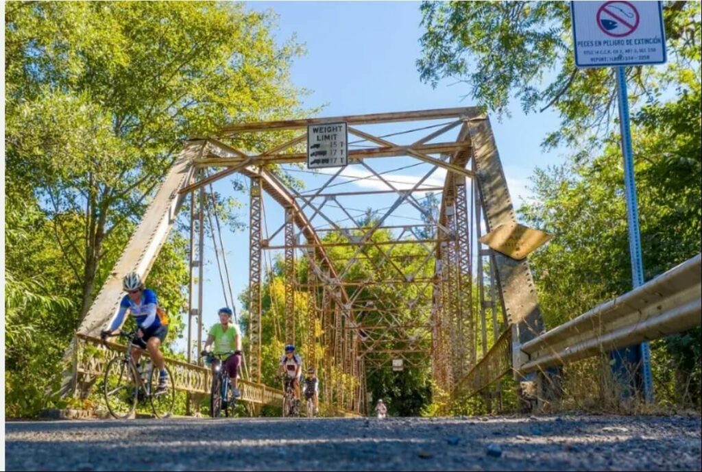 Gazelle in the Golden State | Cycling over bridge